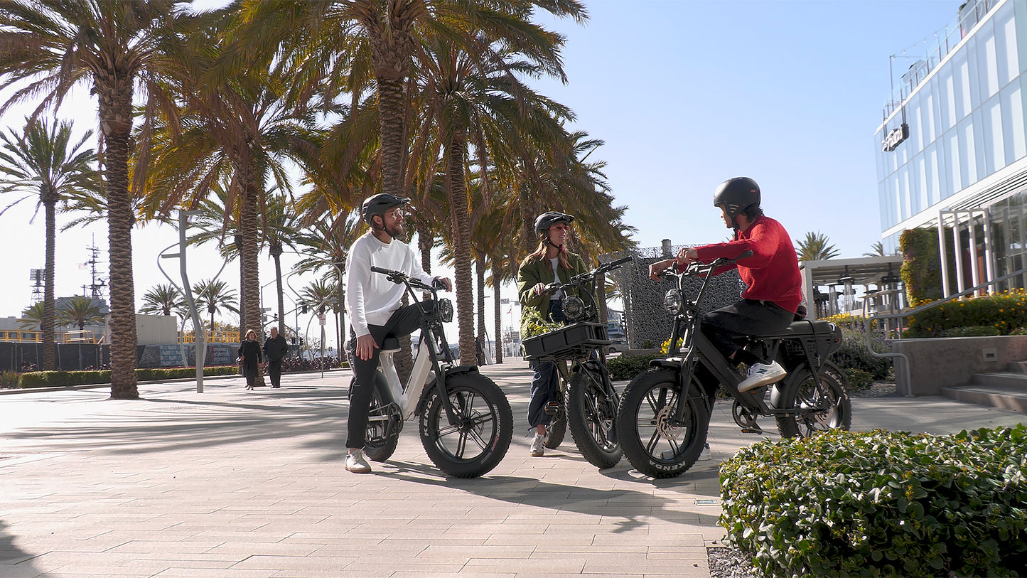 Three people ride Haro Bikes Skwad with oversized tires and helmets on a sunlit promenade lined with palm trees. A modern building is visible to the right, under clear skies, enhancing their retro ride.