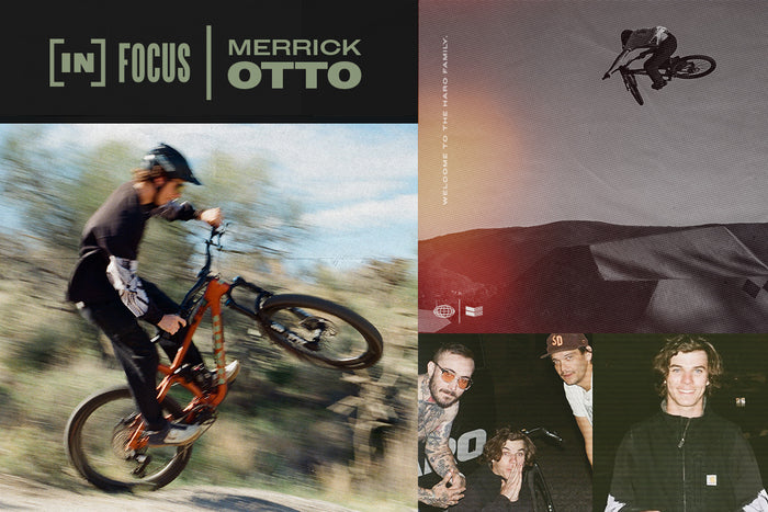InFocus - Merrick Otto