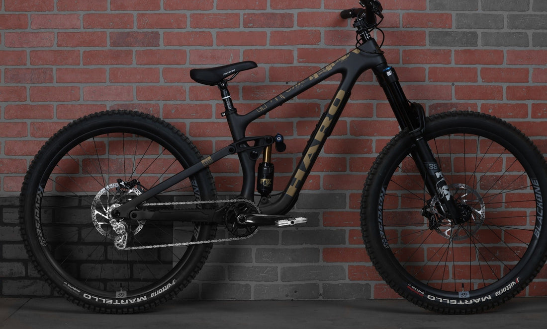 Haro x Reverse Collaboration Greer