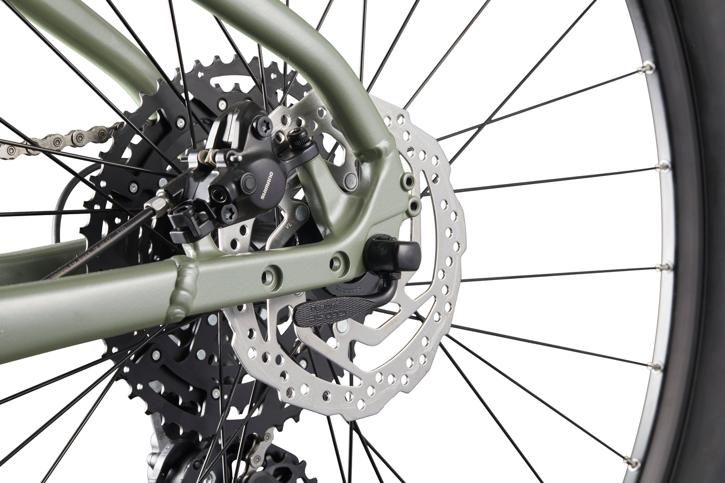 Close-up of Double Peak’s rear hydraulic disc brakes, chain, gear cassette, black spokes, and green metal frame.