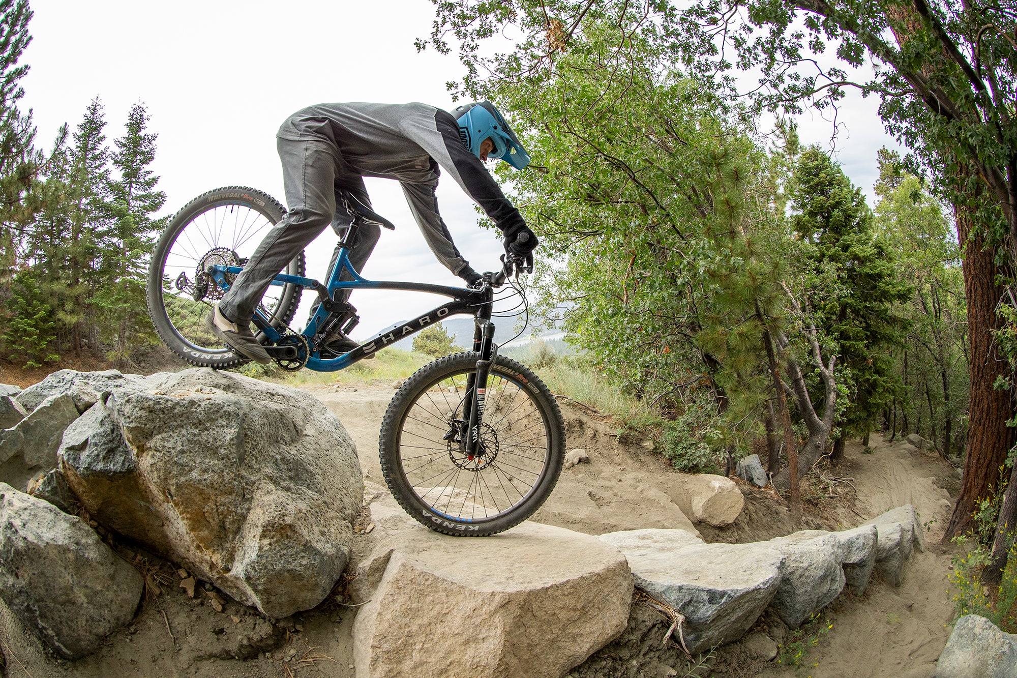 Haro bikes best sale dirt jumper