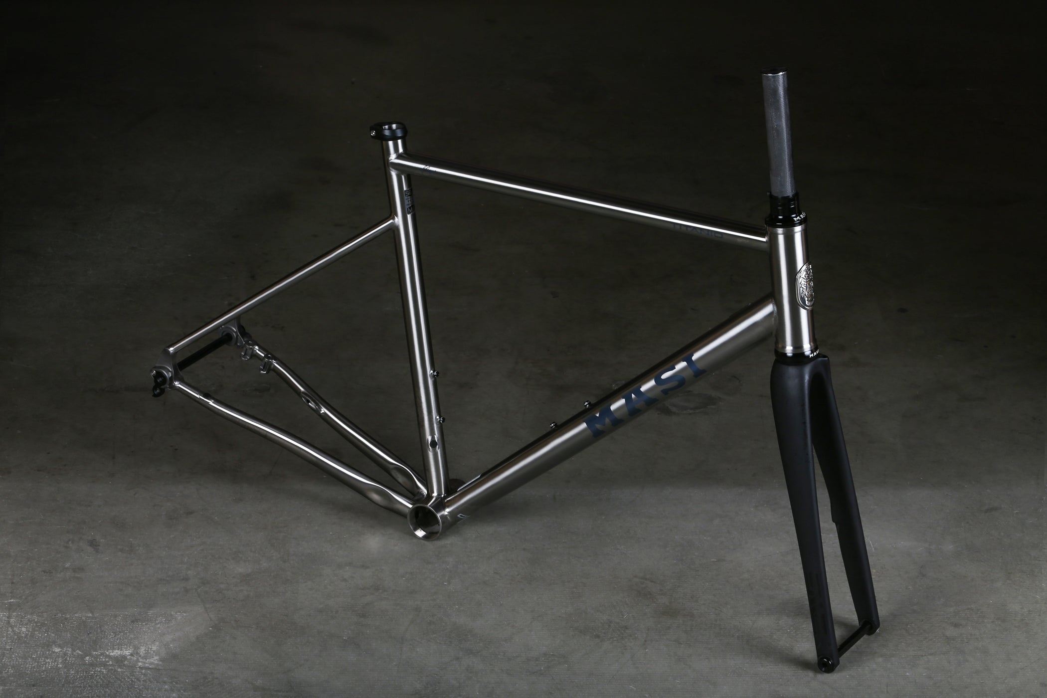 Titanium fixie online